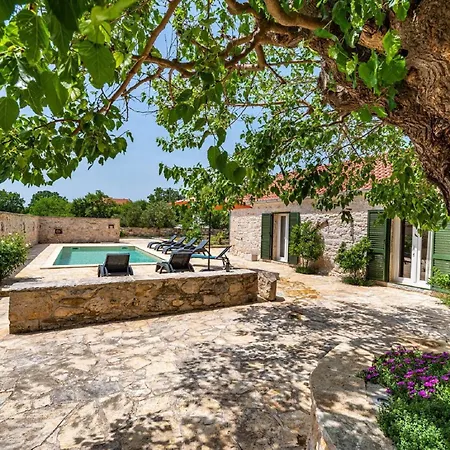 My Dalmatia - Authentic Zvonko With Private Swimming Pool Dom wakacyjny Podlug