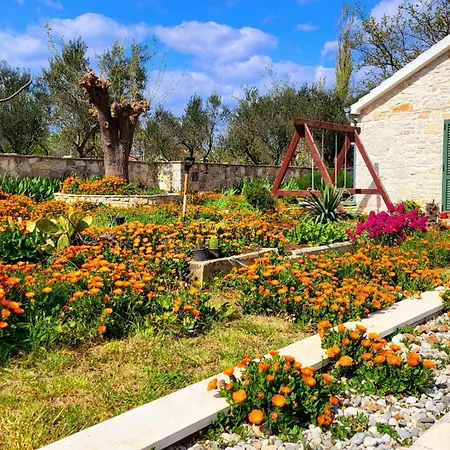 My Dalmatia - Authentic Zvonko With Private Swimming Pool Dom wakacyjny Podlug