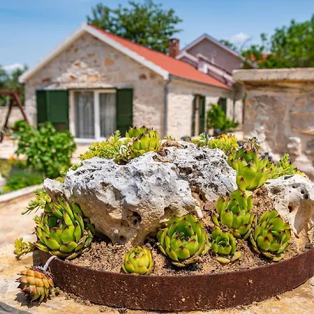My Dalmatia - Authentic Zvonko With Private Swimming Pool