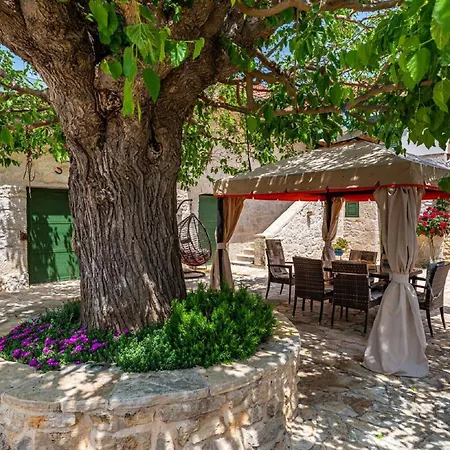 My Dalmatia - Authentic Zvonko With Private Swimming Pool Podlug
