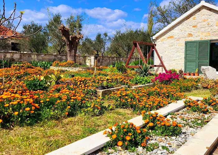 My Dalmatia - Authentic Zvonko With Private Swimming Pool Casa de Férias Podlug